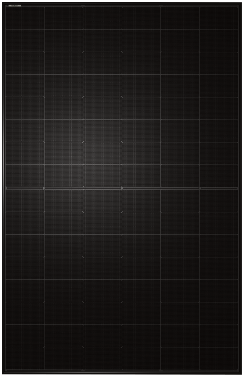 Zeus 1.1 96 445 53 (A) Transparent Zeus 1.1 96 445 53 (A) Transparent